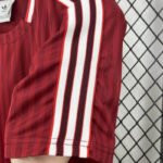 2025/2026 Bayern Munich Special Edition Red Football Jersey 1:1 Thai Quality - Image 4