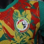 2024/2025 Player Version Senegal National Team Training Wear Football Shirt 1:1 Thai Quality - Image 6