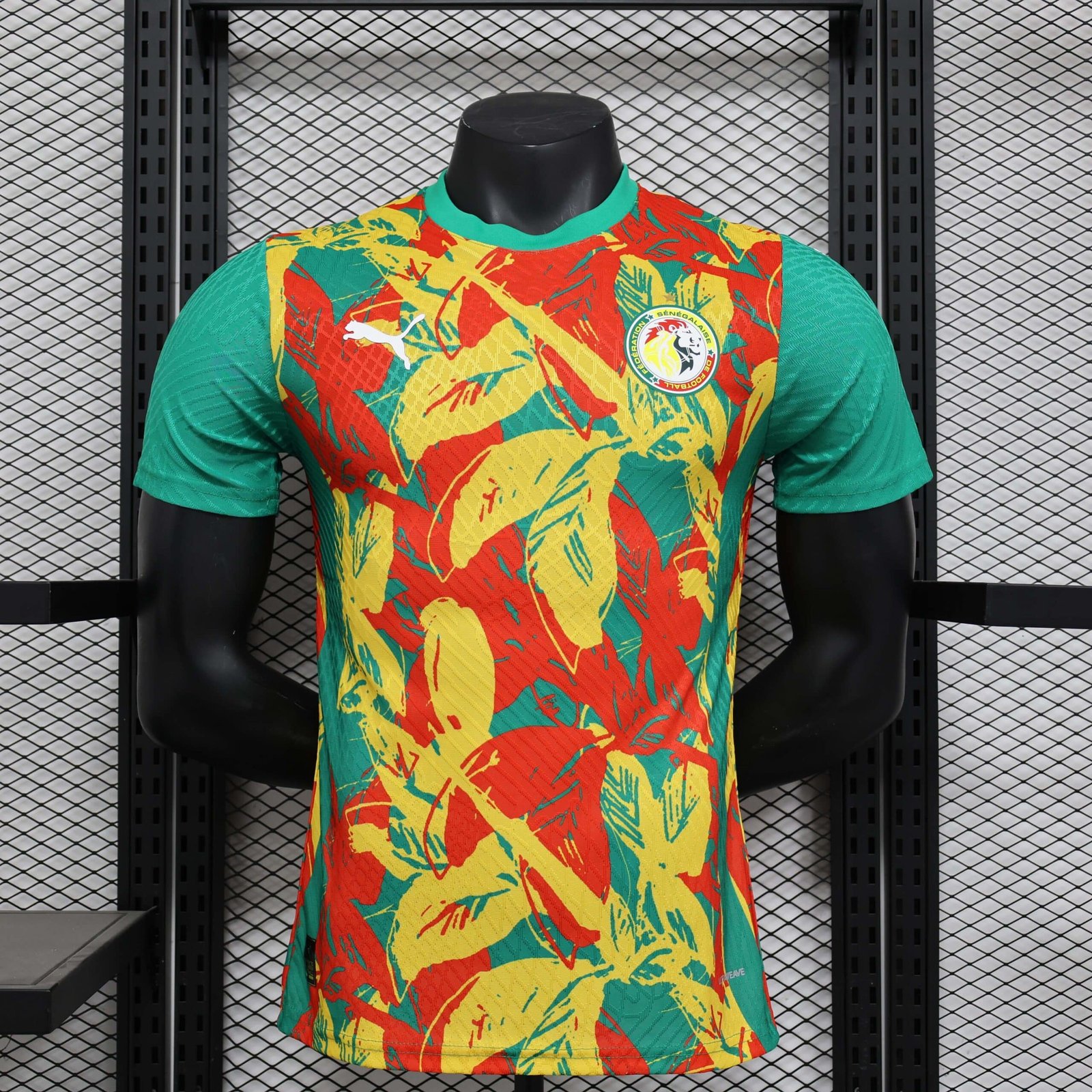 639a6ff1e2de35d73645132b3db3ff80 2024/2025 Player Version Senegal National Team Training Wear Football Shirt 1:1 Thai Quality - Image 1