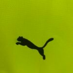 2025/2026 Dortmund Special Edition Green Football Shirt 1:1 Thai Quality - Image 5