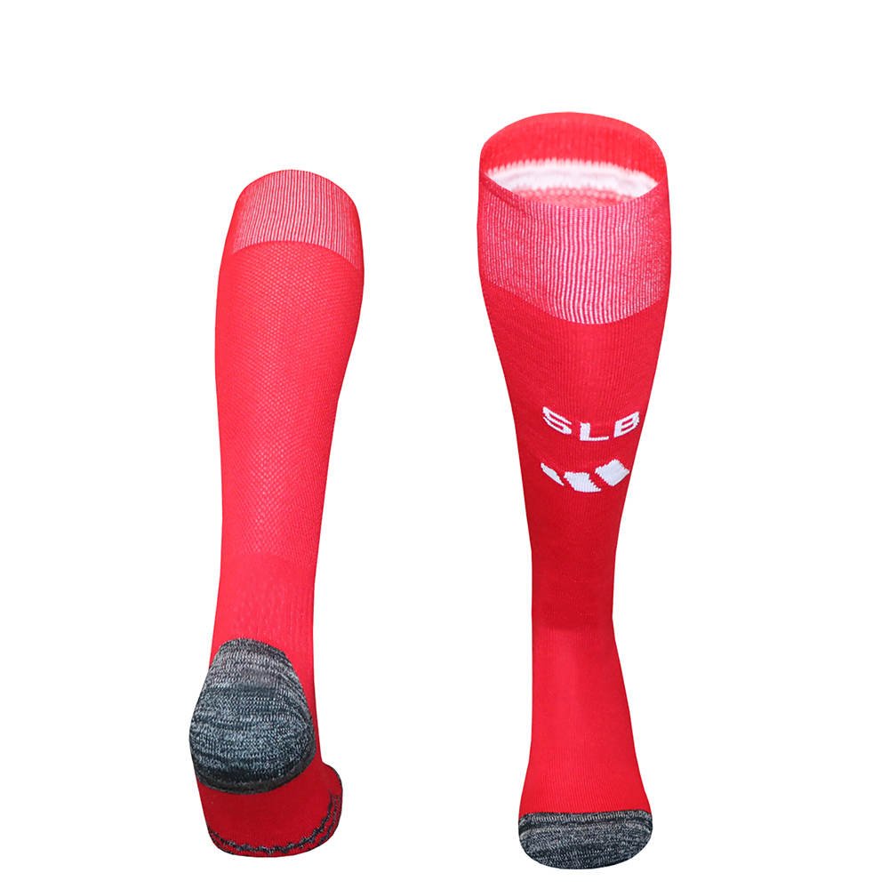 2605f686 2026-27 Benfica Home Red Soccer Socks - Image 1