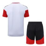2026-27 Germany White Polo Soccer Uniform - Image 4