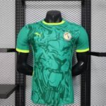 Player version 2026-27 Senegal Green Soccer Jersey AAA