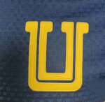 Player Version 26-27 Tigres UANL  Away Royal Blue Soccer Jersey - Image 2