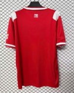2026-2027 Kaiserslautern Home Red Soccer Jersey AAA - Image 3
