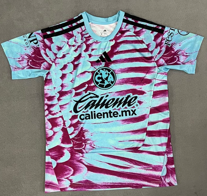 002c7103-8653-4095-bcdb-95fab0d5ef11 2026-2027 Club América Goalkeeper Blue Soccer Jersey AAA - Image 1