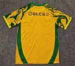 2026-2027 Norwich Home Yellow Soccer Jersey AAA - Image 2